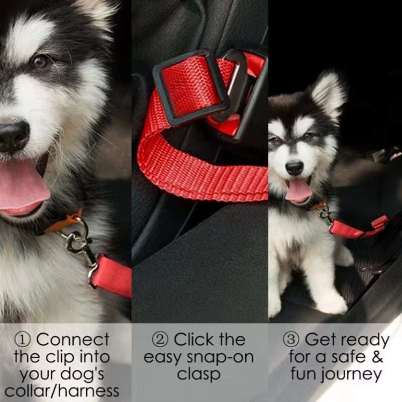 Pet Car Safety Belt