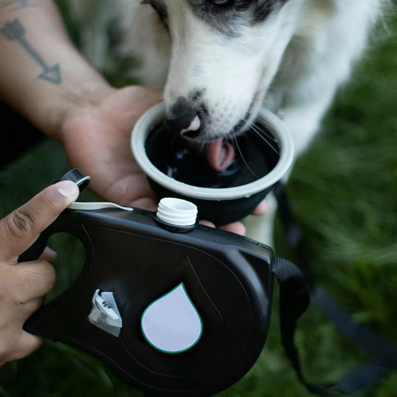 Multi-functional Dog Leash