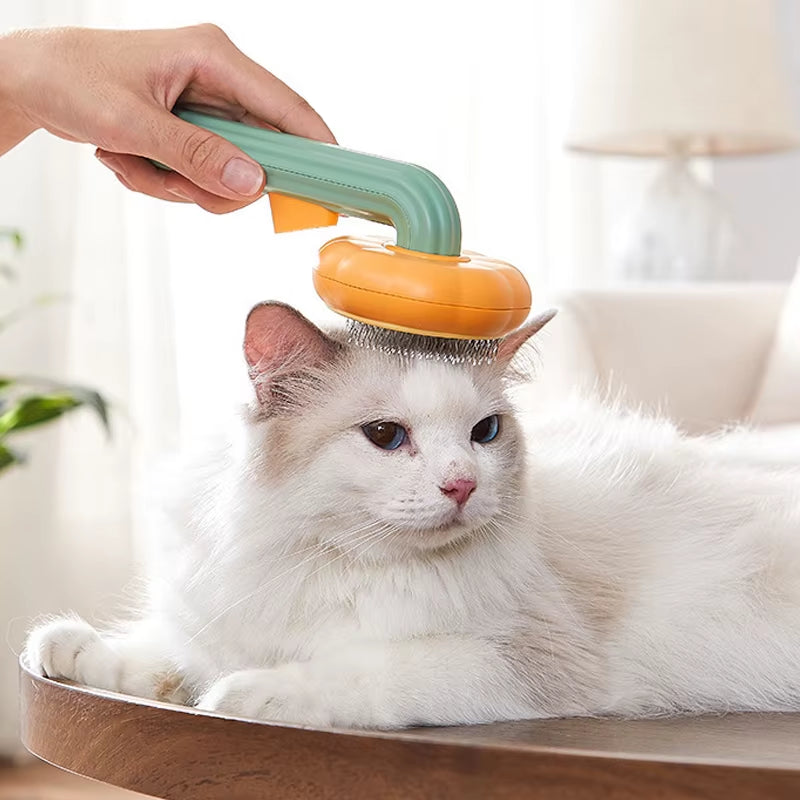 Pumpkin Pet Brush