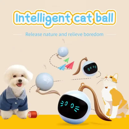 Smart Cat Toy