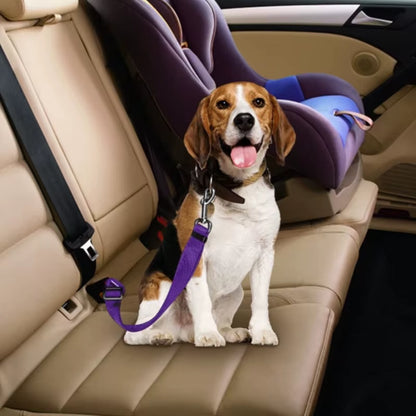 Pet Car Safety Belt