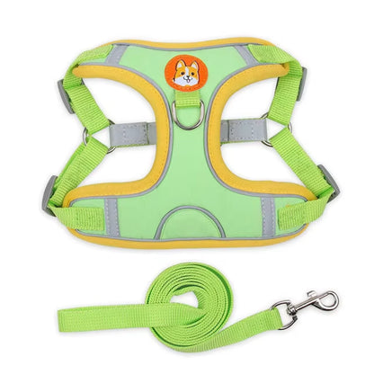 Dog Harness with Leash Set