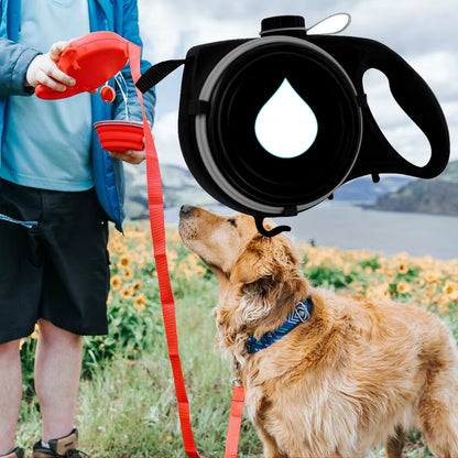 Multi-functional Dog Leash