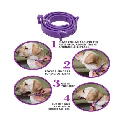 Anti Flea Mosquitoes Ticks Insect Collar