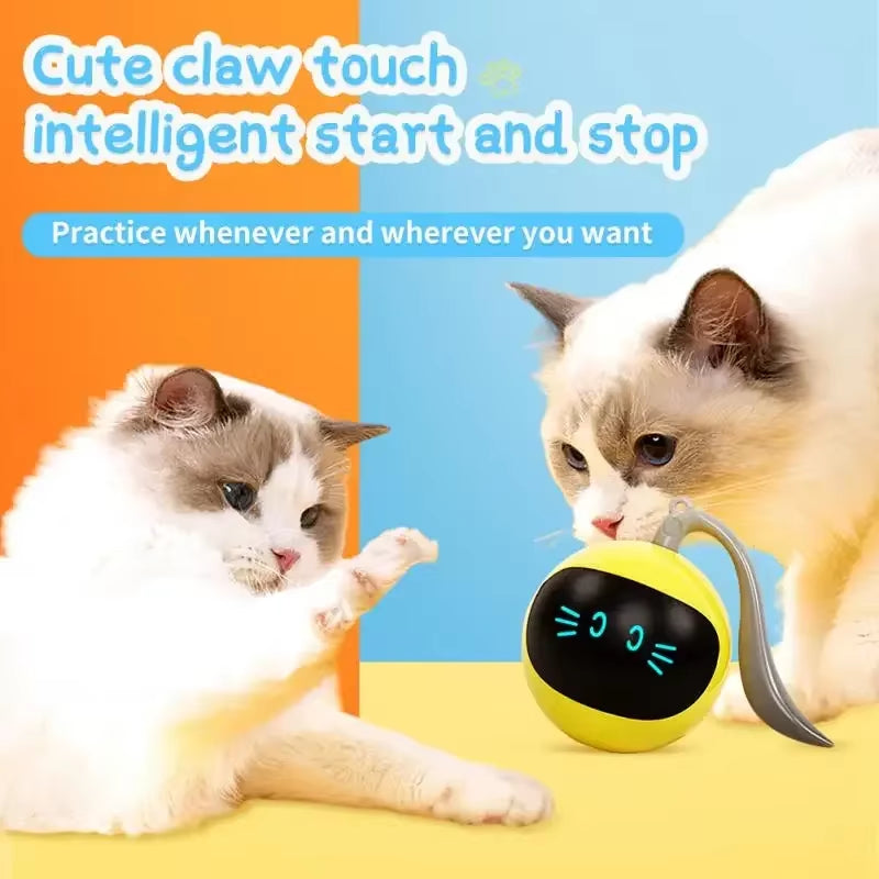 Smart Cat Toy