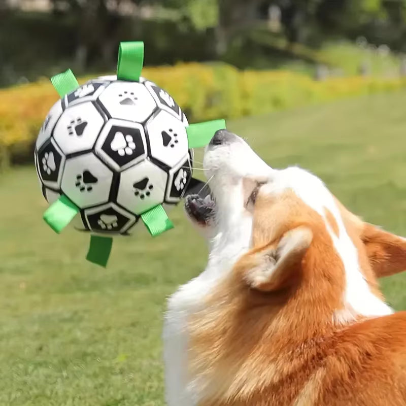 Dog Soccer Ball