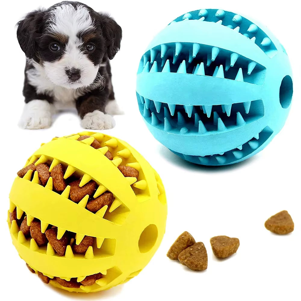 Dog Chew Toys