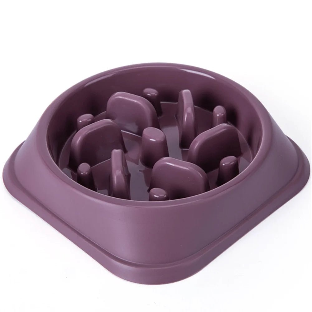 Pet Slow Feeder Bowl