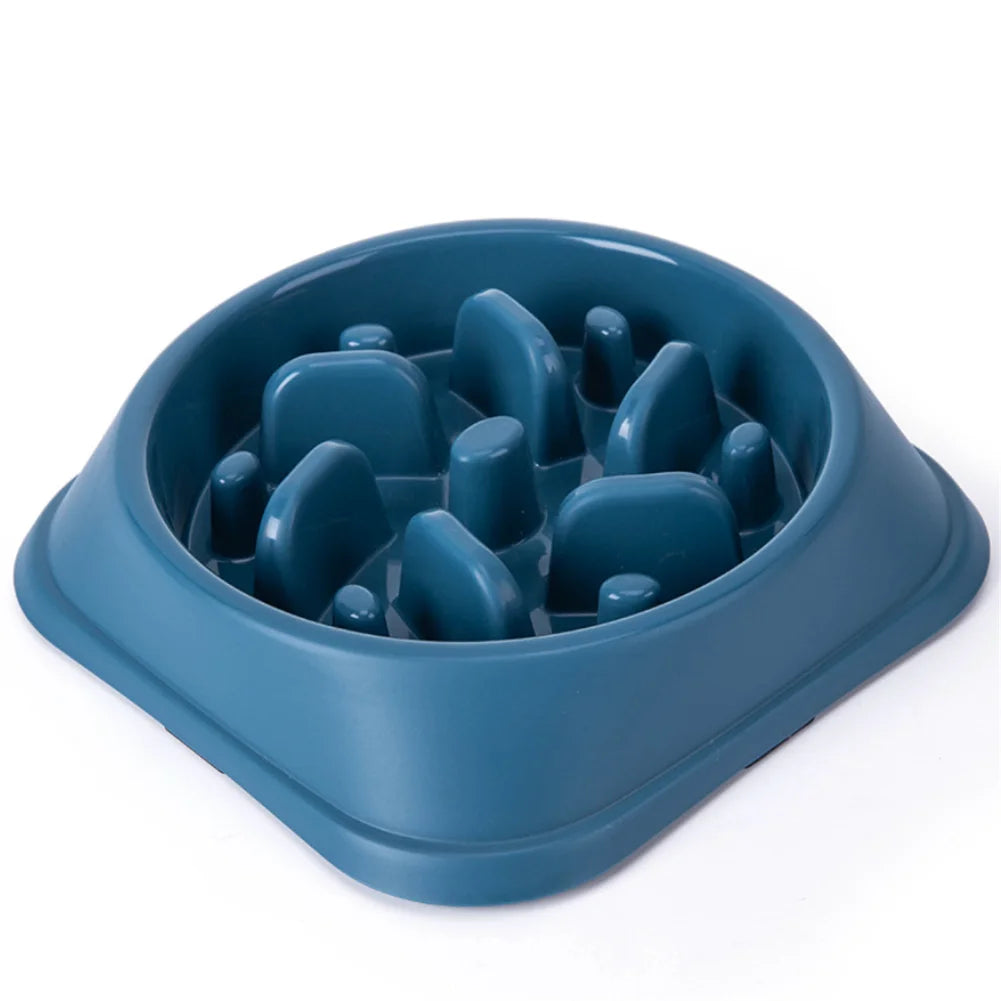 Pet Slow Feeder Bowl