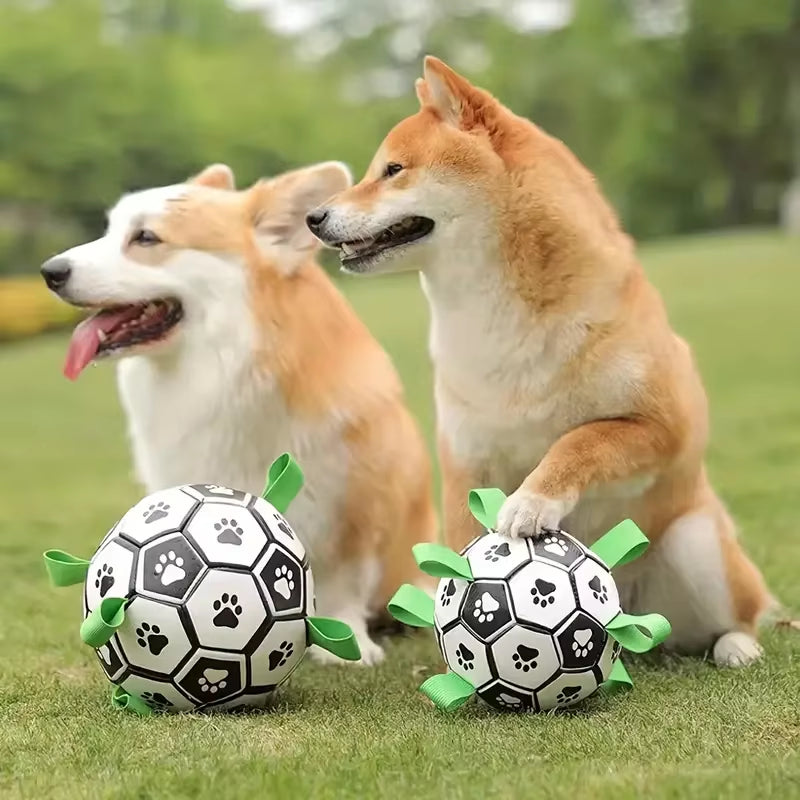 Dog Soccer Ball