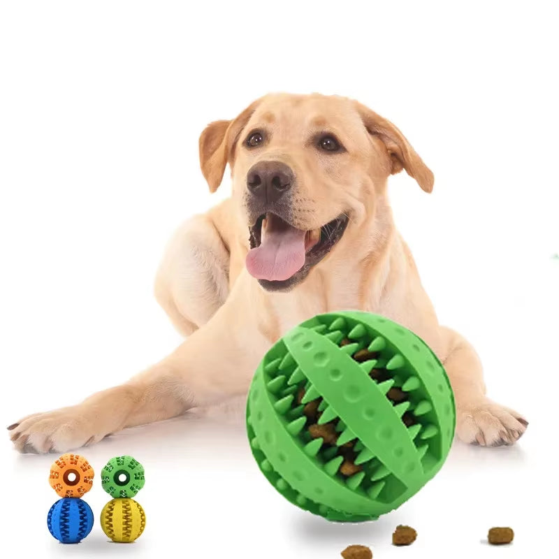 Dog Chew Toys