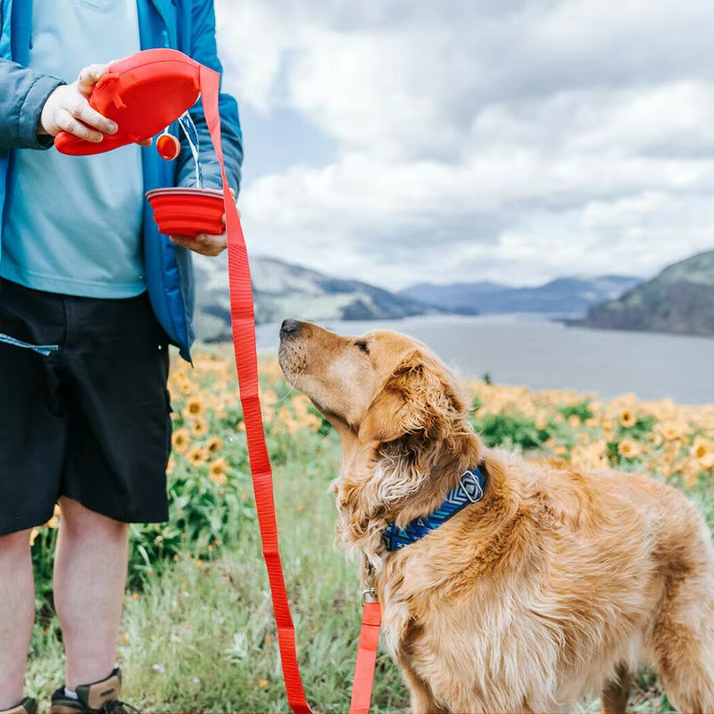 Multi-functional Dog Leash