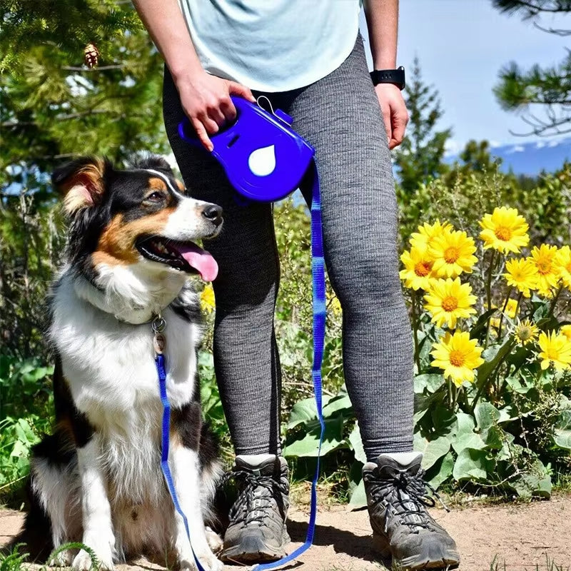 Multi-functional Dog Leash