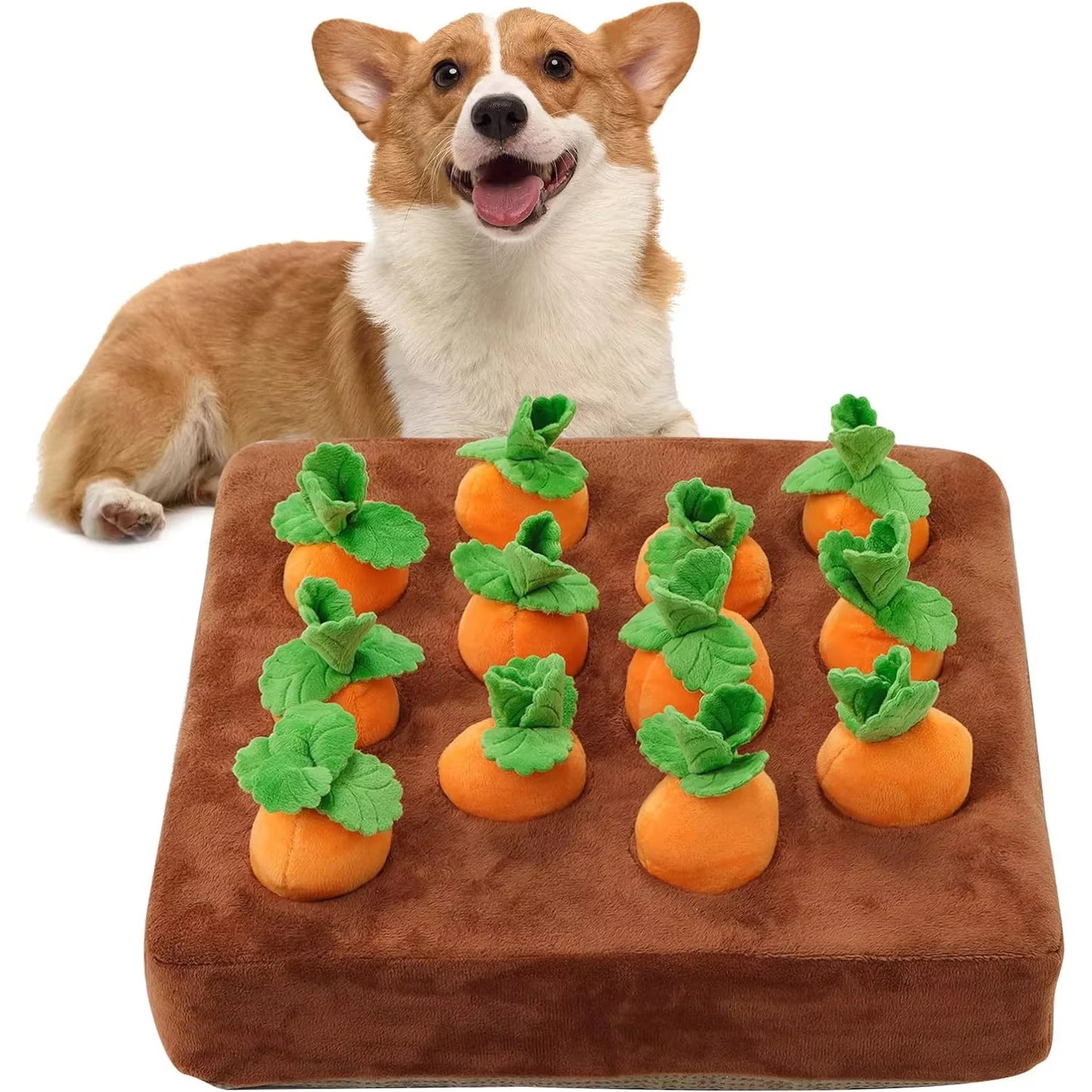 Carrot Farm Interactive Plush Dog Toy