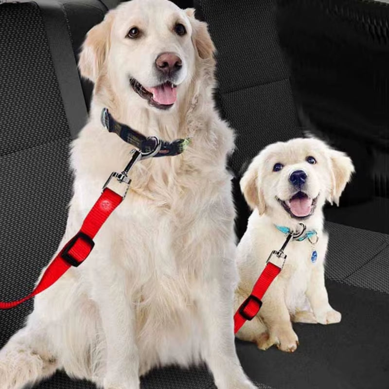 Pet Car Safety Belt