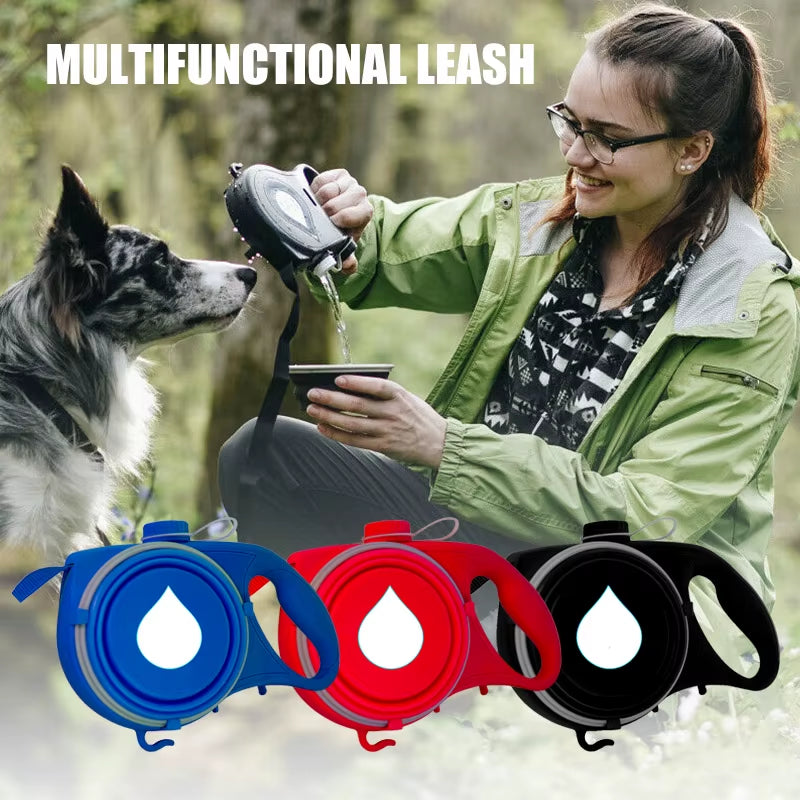 Multi-functional Dog Leash