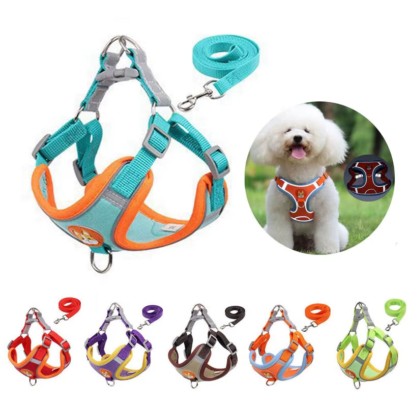 Dog Harness with Leash Set