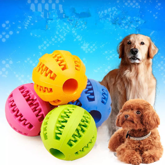 Dog Chew Toys